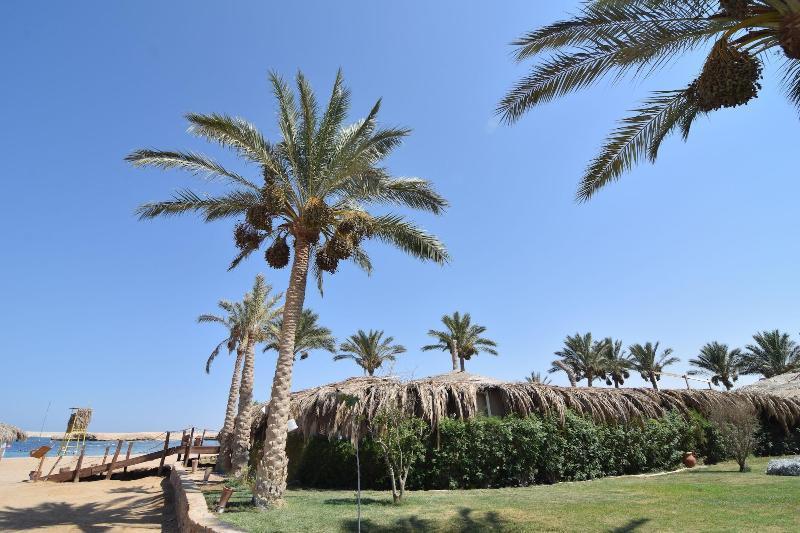 Sharm El Naga Resort And Diving Center Хургада Екстериор снимка