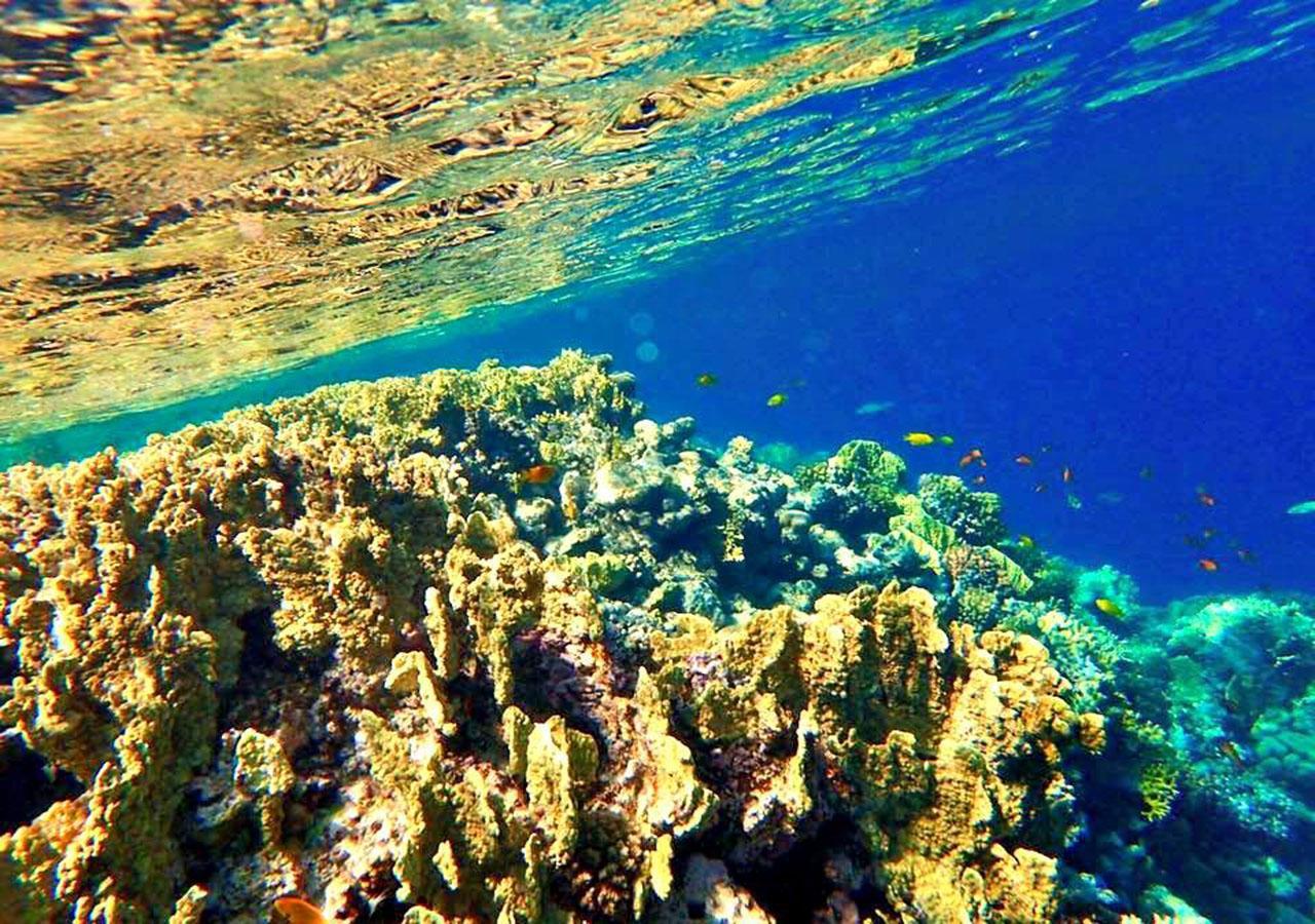 Sharm El Naga Resort And Diving Center Хургада Екстериор снимка